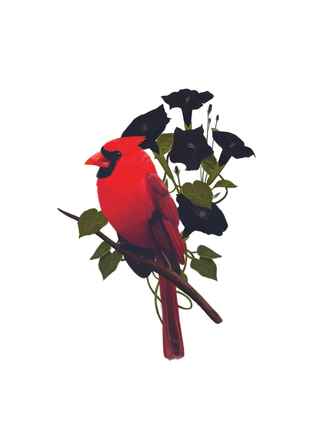 Liz Emirzian Art - Northern Cardinal