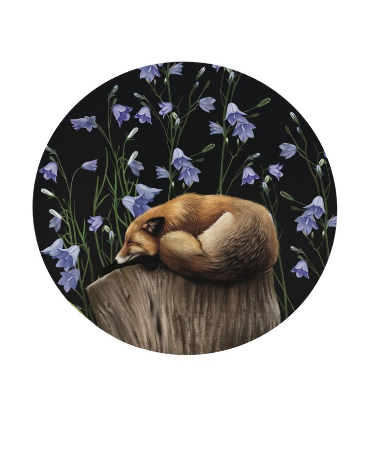 Liz Emirzian Art - Sleeping Fox