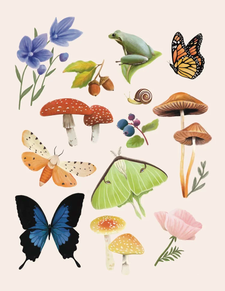 Liz Emirzian Art - Woodland Creatures