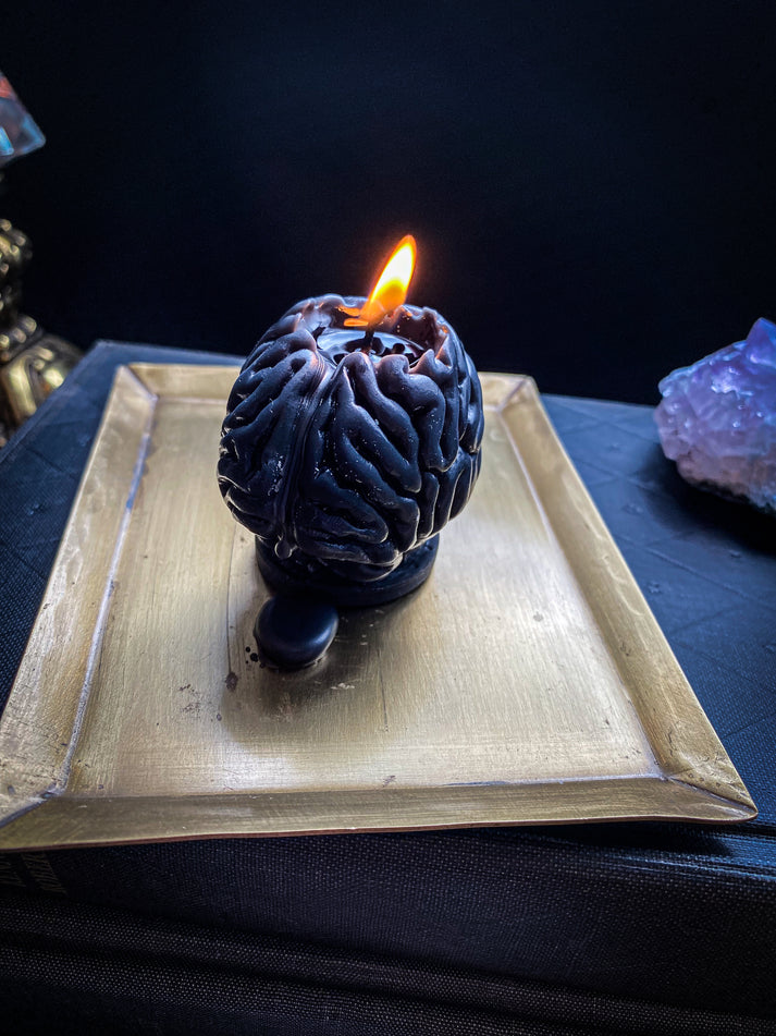 Beeswax Candle - Brain