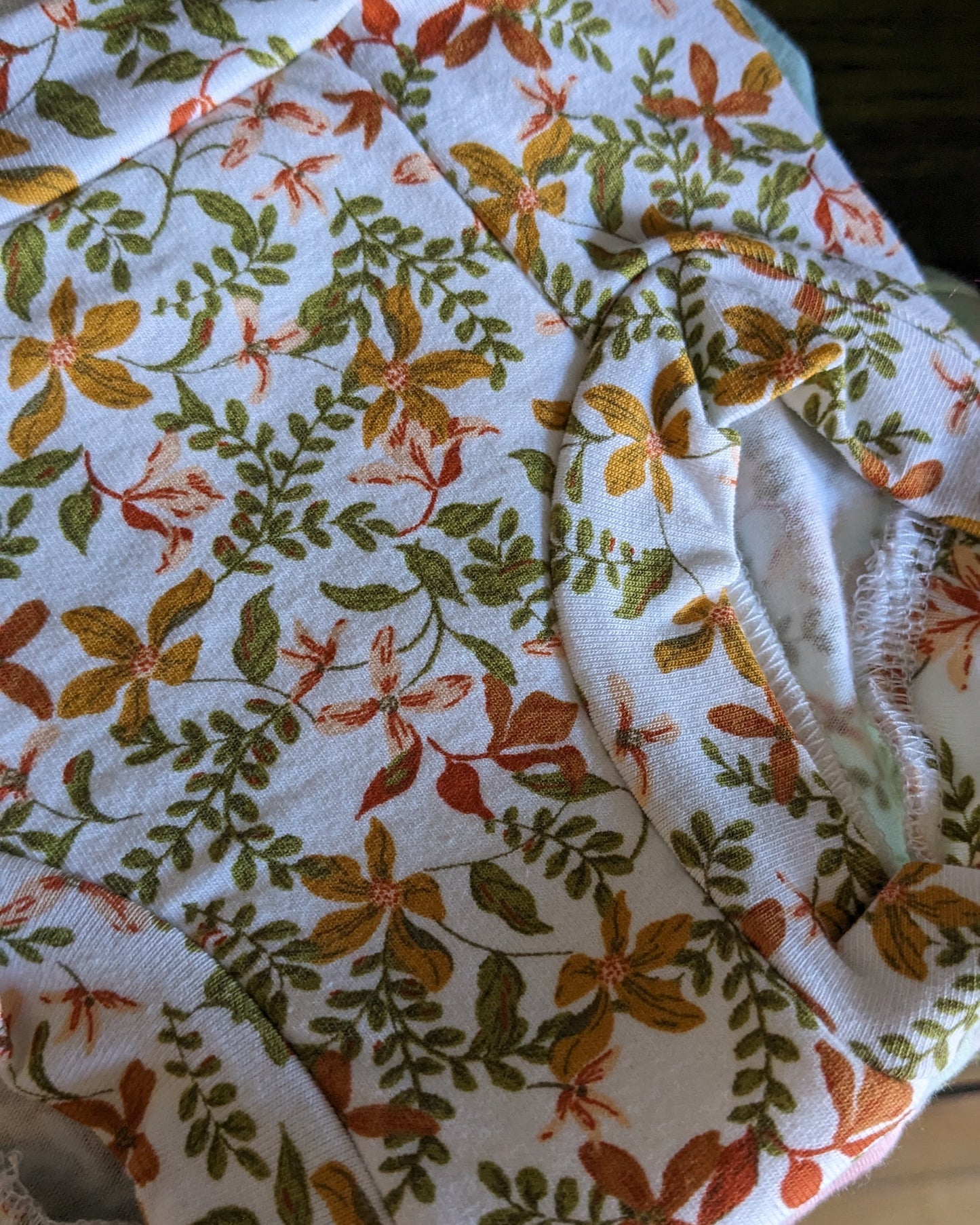 Potty Training Undies