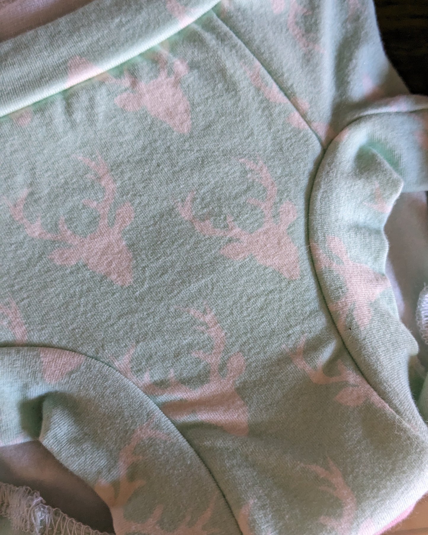 Potty Training Undies