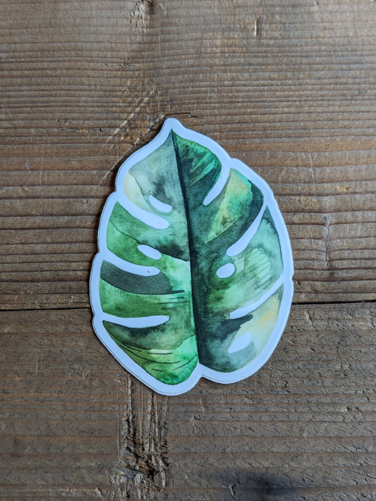 Moon and Co Vinyl Stickers