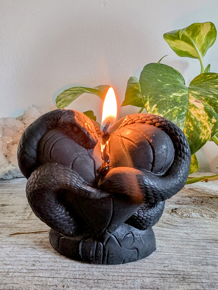 Beeswax Candle - Heart of Me Snake