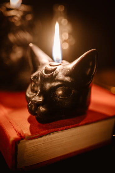 Cat Beeswax Candle