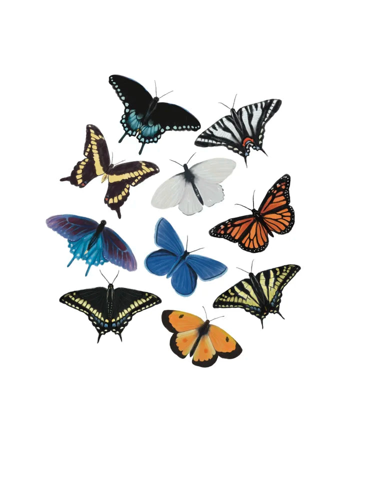 Liz Emirzian Art - Butterflies of Ontario