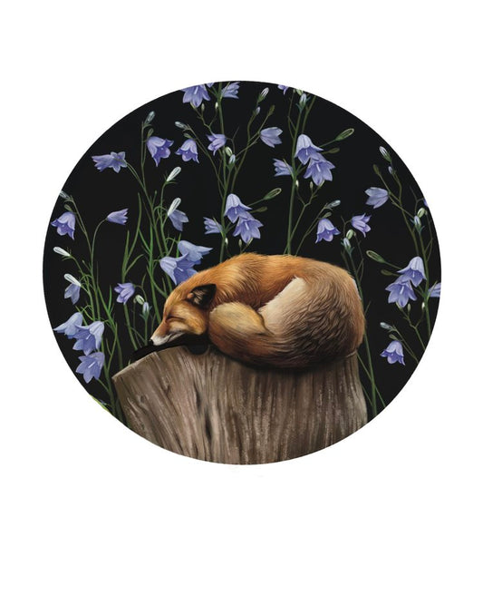 Liz Emirzian Art - Sleeping Fox