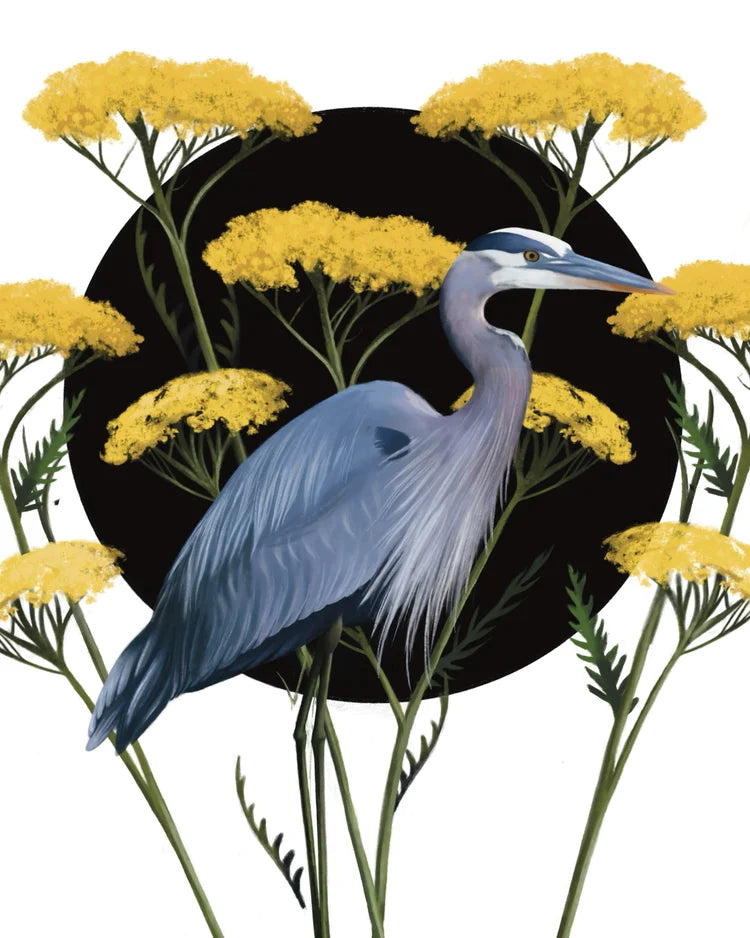 Liz Emirzian Art - Great Blue Heron
