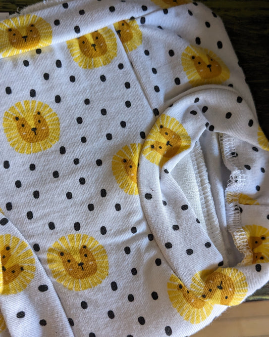 Potty Training Undies