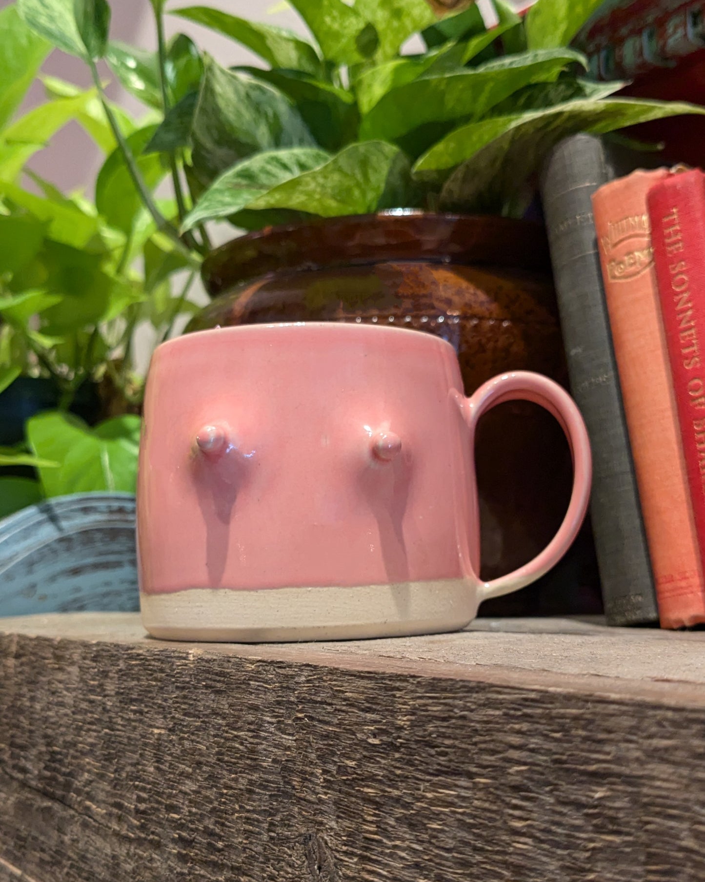 Boobie Mug