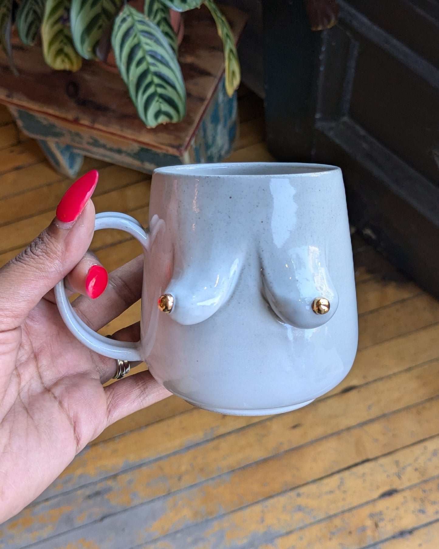 Boobie Mug