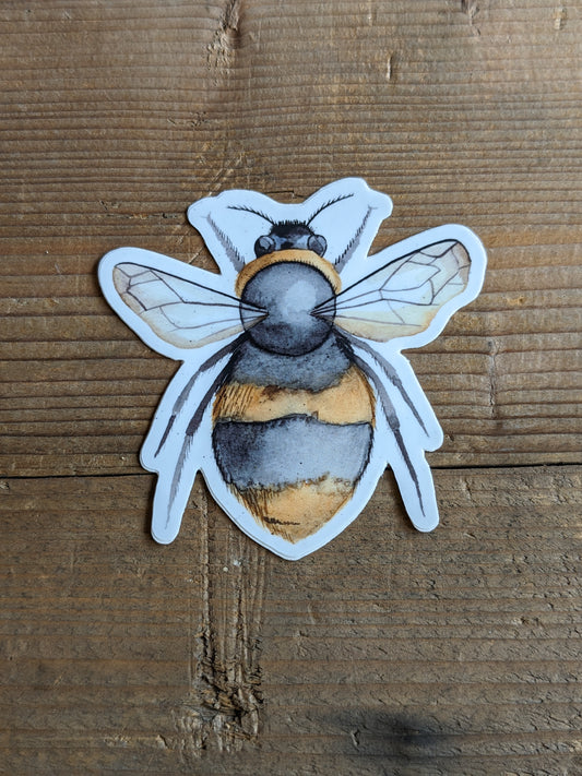 Moon and Co Vinyl Stickers