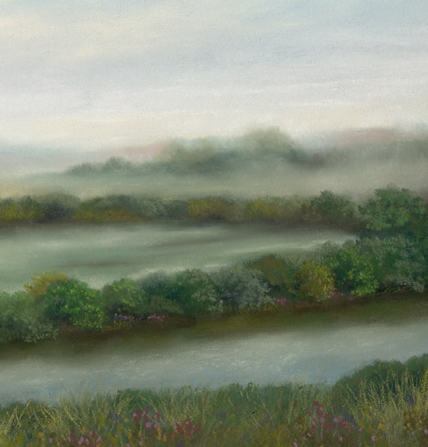 Jenny Harvey Signed Prints