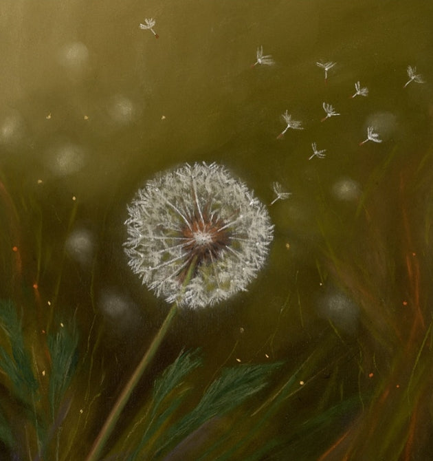 Jenny Harvey Signed Prints