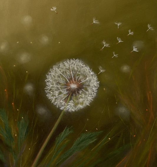 Jenny Harvey Signed Prints