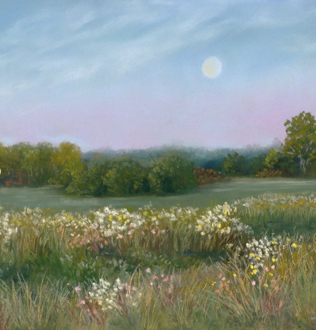 Jenny Harvey Signed Prints