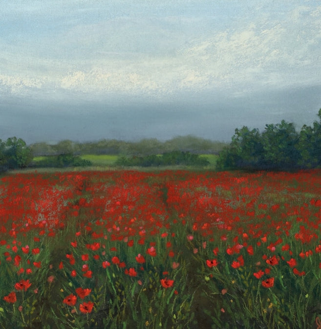 Jenny Harvey Signed Prints