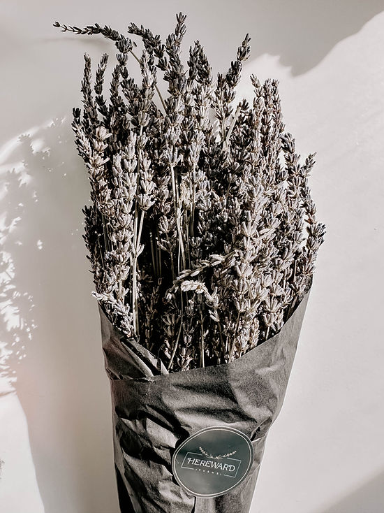 Dried Lavender Bunches