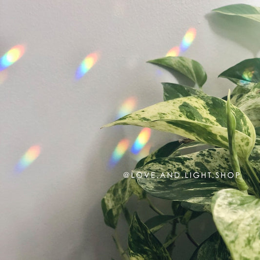 Lotus Rose Quartz Suncatcher