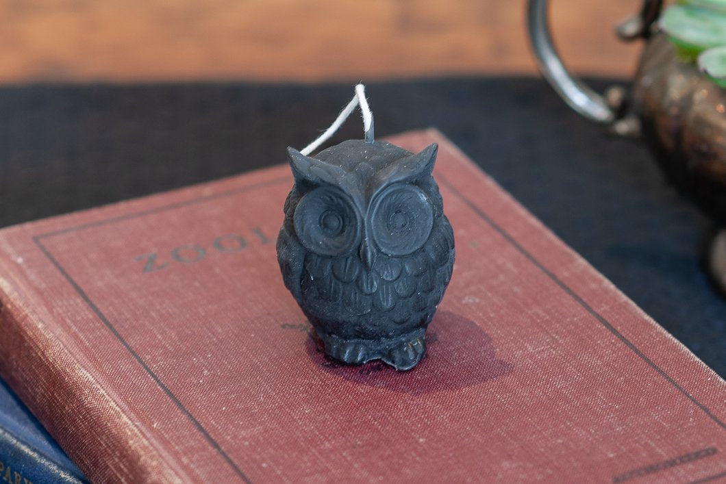 Beeswax Candle - Owl