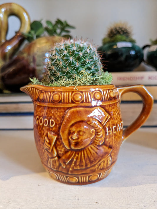 Cacti in Vintage Ceramic