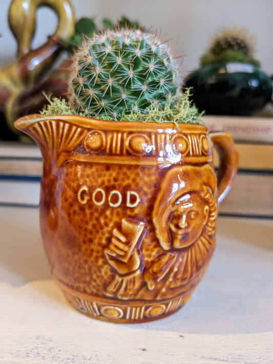 Cacti in Vintage Ceramic