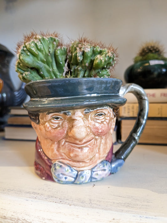 Cacti in Vintage Toby Mug