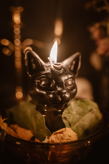 Cat Beeswax Candle