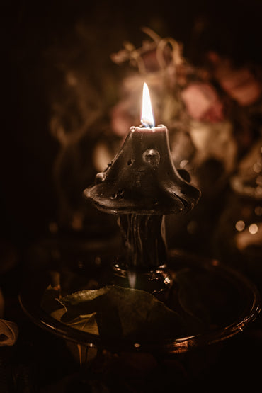 Mushroom Beeswax Candle