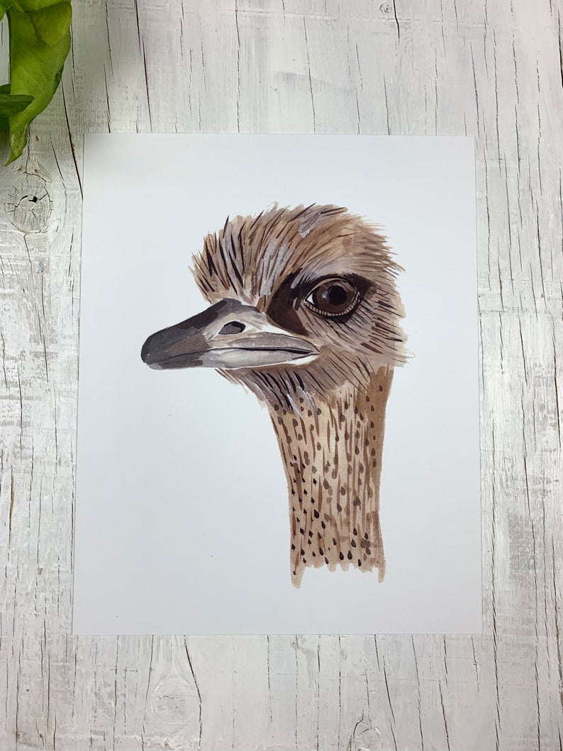 Emu Art Print 8" x 10"